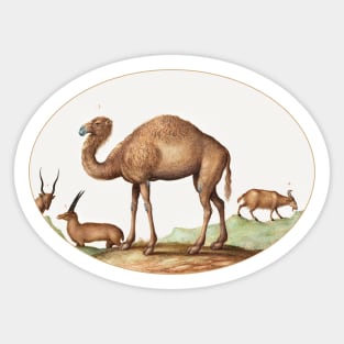 Camel, Ibex, and Goat (1575–1580) Sticker